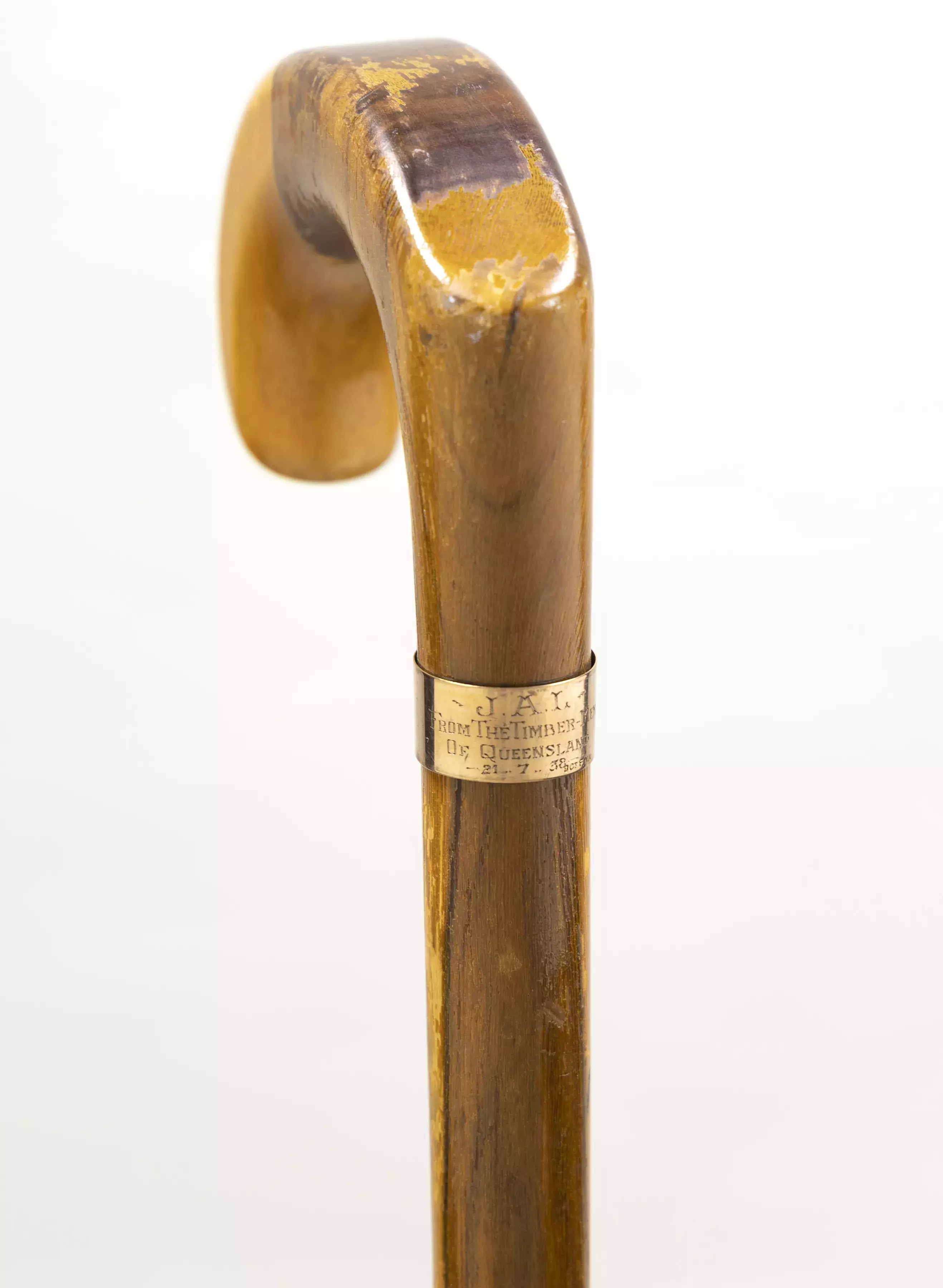 A close up view of the top of Lyons' walking stick showing a metal label inscribed with 'Timber Men of Queensland'.  